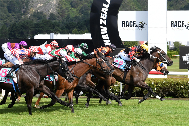 PROVENCE winning the HARCOURTS THORNDON MILE