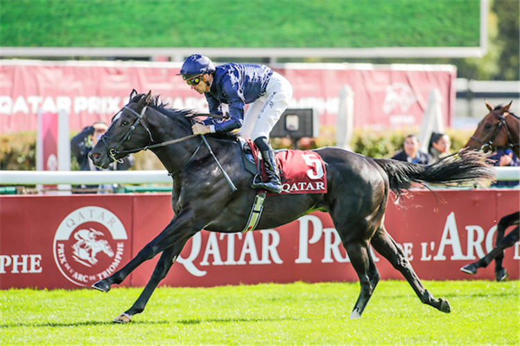 PUERTO RICO winning the Prix Jean-Luc Lagardere at Longchamp in France.