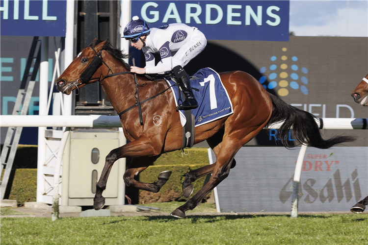 RAGING FORCE winning the SMITHFIELD RSL SAN DOMENICO STAKES
