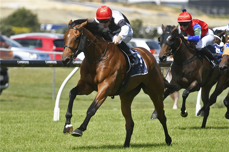 REAL CLASS winning the SIR PATRICK HOGAN STAKES