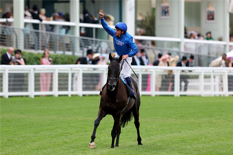 REBEL'S ROMANCE after winning the Hardwicke Stakes at Ascot in England.