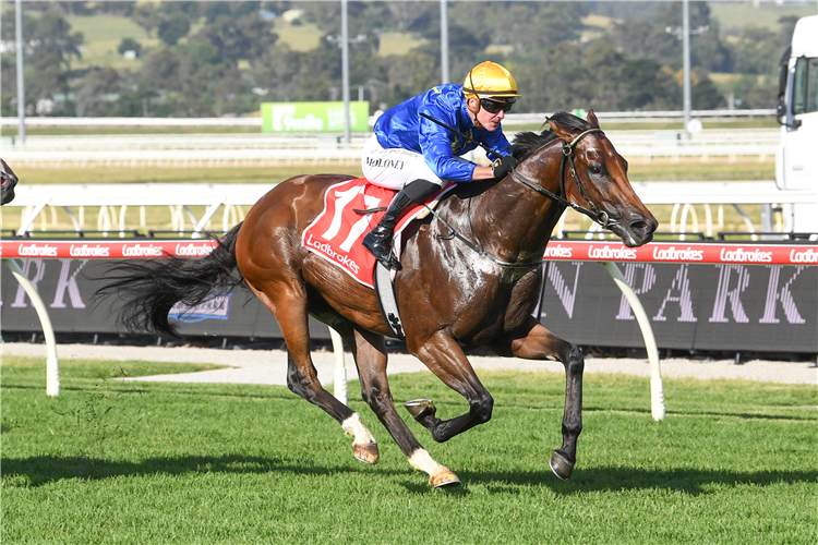 RECON winning the Fulmen Park I Wish I Win at Pakenham in Australia.