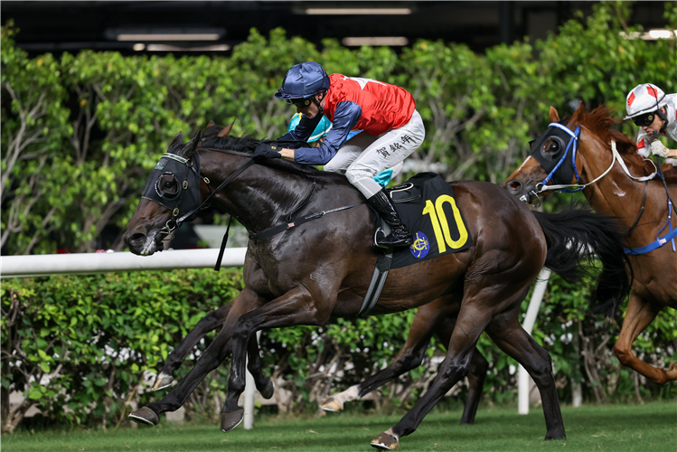 RED MAJESTY winning the GREEN HANDICAP