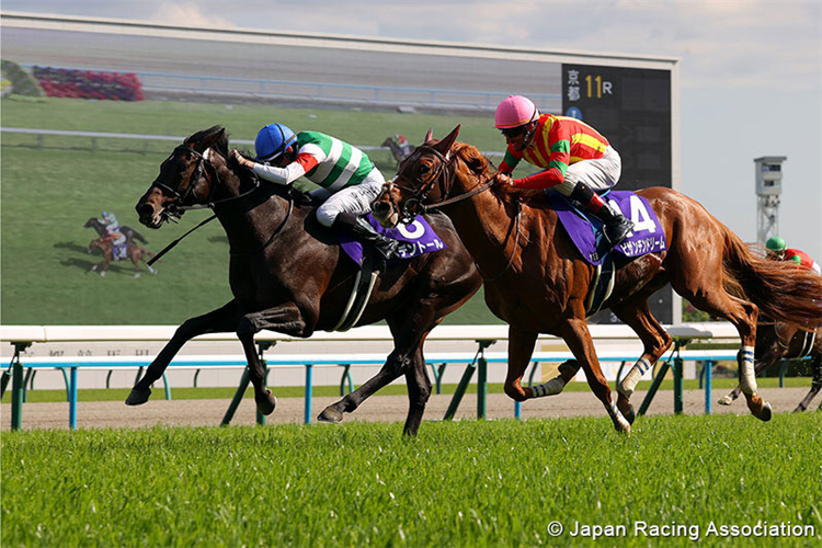 REDENTOR winning the Tenno Sho (Spring) at Kyoto in Japan.