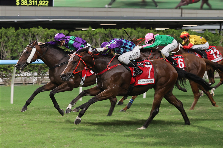 REGAL GEM winning the HARBOUR VIEW HANDICAP