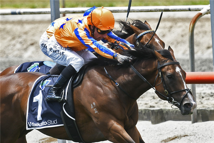 RETURN TO CONQUER winning the FAIRVIEW MATAMATA SLIPPER