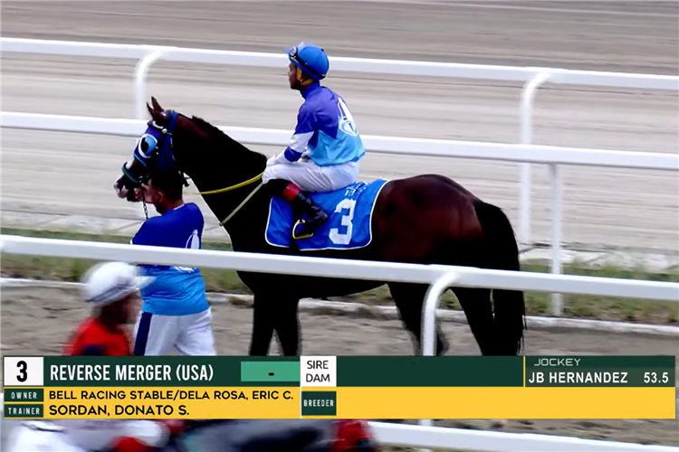 Reverse Merger Up To The Challenge / California Chrome’S Half Brother ...