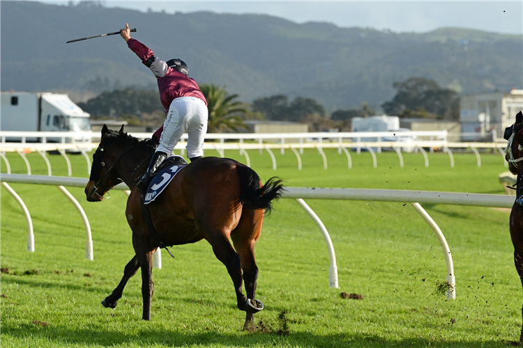 REWARD SMILE winning the NORTHPINE WAIPU CUP