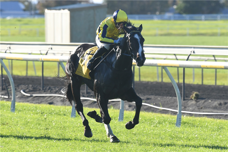 RIBKRAKA winning the AB ELECTRICAL 3YO