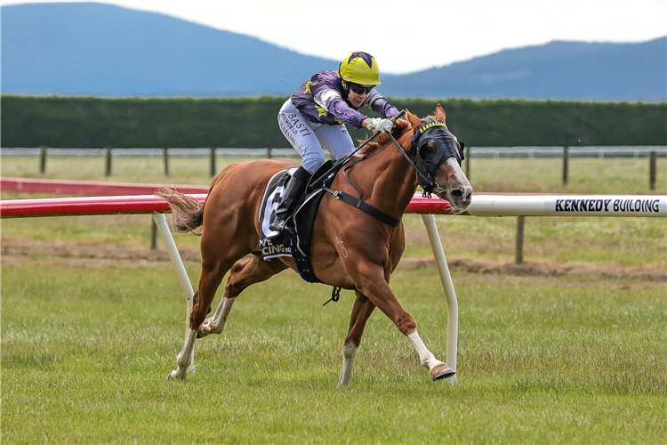 RIVIERA REBEL winning the DYNES TRANSPORT TAPANUI CUP