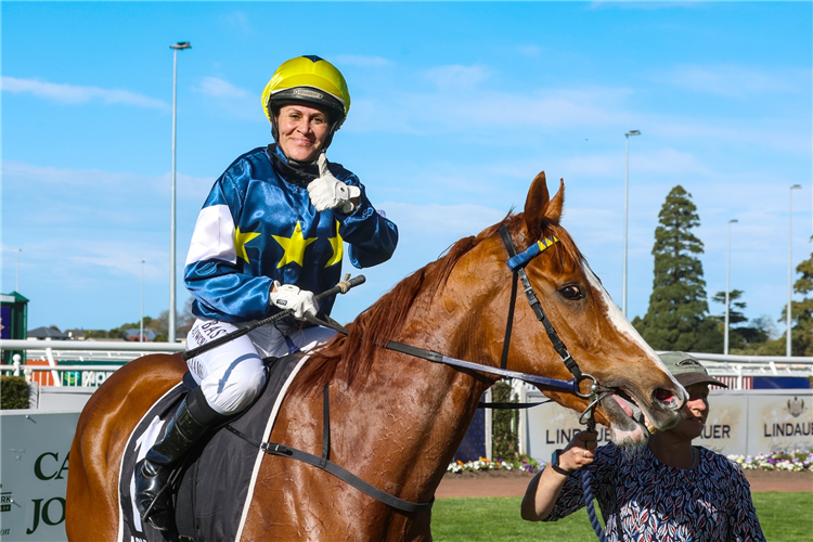 RIVIERA REBEL winning the WAIMAKARIRI BUSINESSES NORTH CANTERBURY CUP