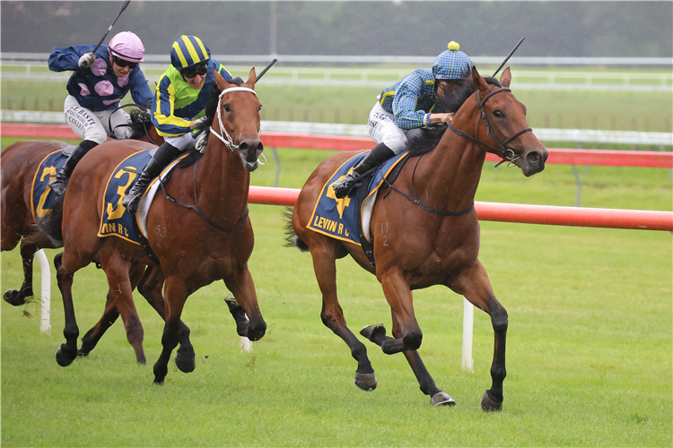 ROAD TO PARIS winning the JENNIAN HOMES WELLINGTON STAKES