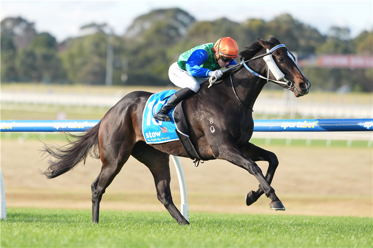 ROADCONE winning the Stow Storage Solutions Handicap at Sandown in Australia.