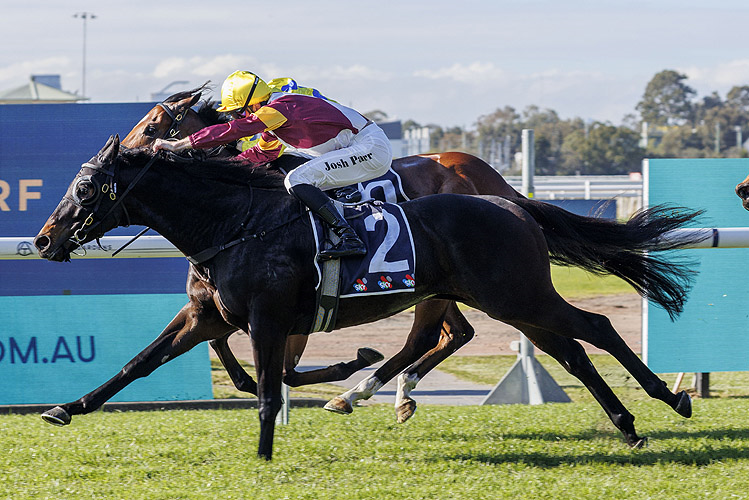 「魔幻滚动」胜出中途让赛