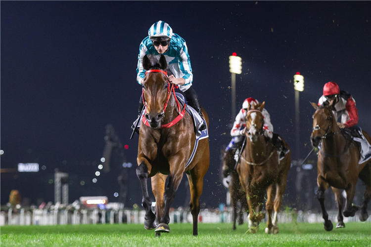 ROMANTIC WARRIOR winning the JEBEL HATTA PRESENTED BY LONGINES