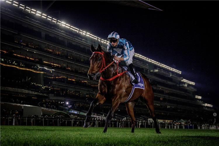 ROMANTIC WARRIOR winning the JEBEL HATTA PRESENTED BY LONGINES