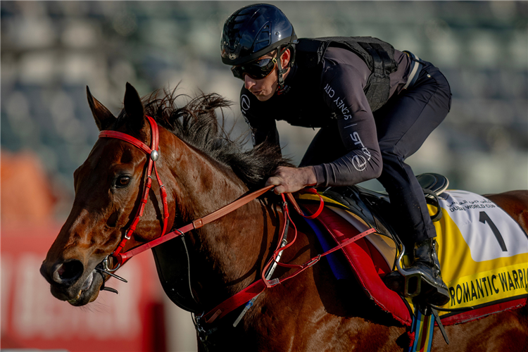 James McDonald accompanying Romantic Warrior at trackwork.