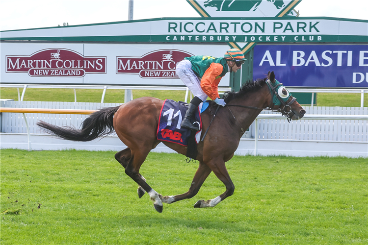 ROSSO winning the RACECOURSE HOTEL & MOTOR LODGE PREMIER