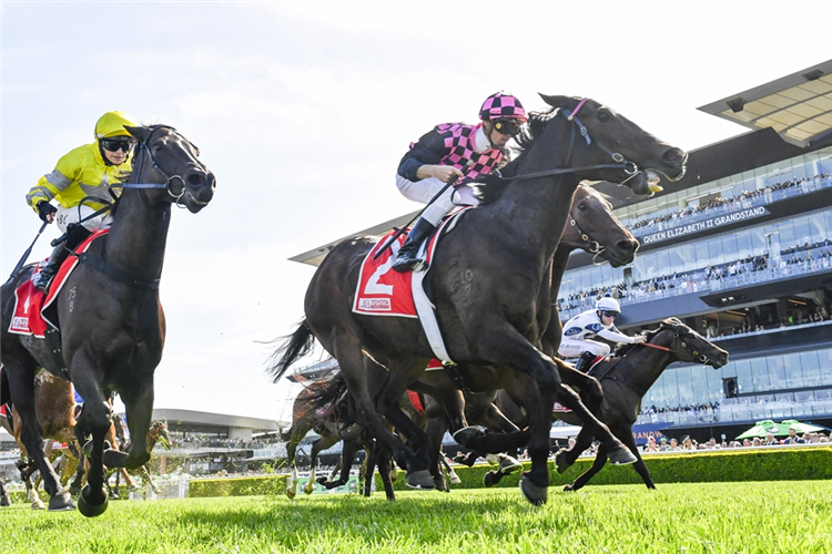 ROTHFIRE winning the TOYOTA FORKLIFTS SYDNEY STAKES at Randwick in Australia.