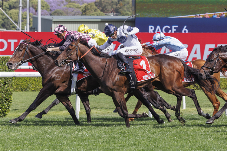 ROTHFIRE winning the TOYOTA FORKLIFTS SYDNEY STAKES