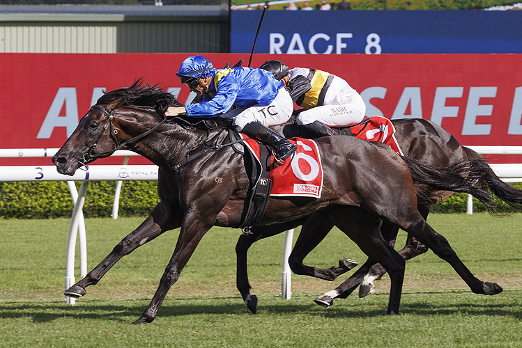 「御皇赞助」胜出坎特伯雷锦标赛