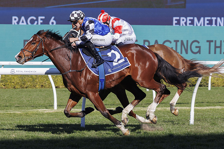 ROYAL SUPREMACY winning the EREMEIN HANDICAP