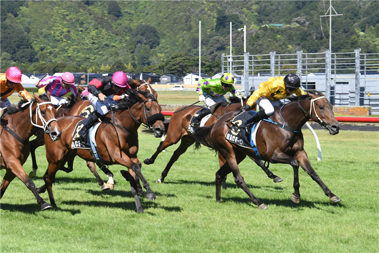 RUBY ROCKS winning the LINCOLN FARMS MARTON CUP