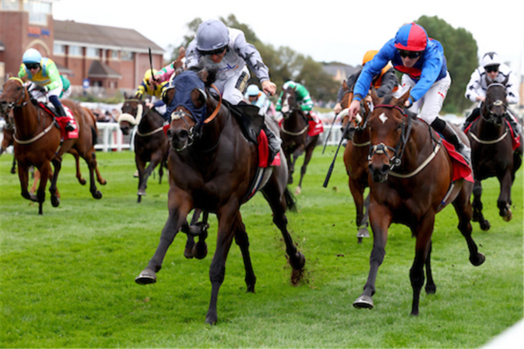 RUN BOY RUN winning the Ayr Gold Cup at Ayr in England.