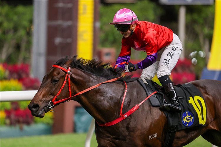 RUN RUN SMART winning the THE JAPAN RACING ASSOCIATION TROPHY (HANDICAP)