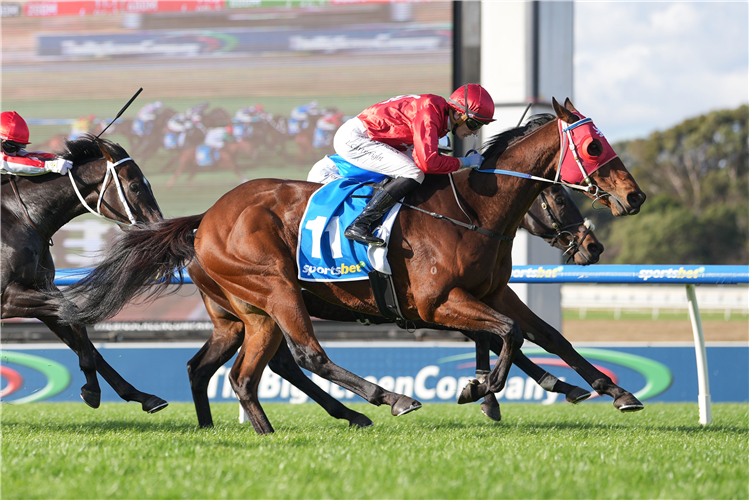 SABAN winning the Sportsbet Race Replays Handicap at Sandown in Australia.