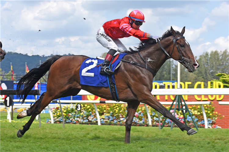 SACRED BUDDY winning the Race 7 (823)