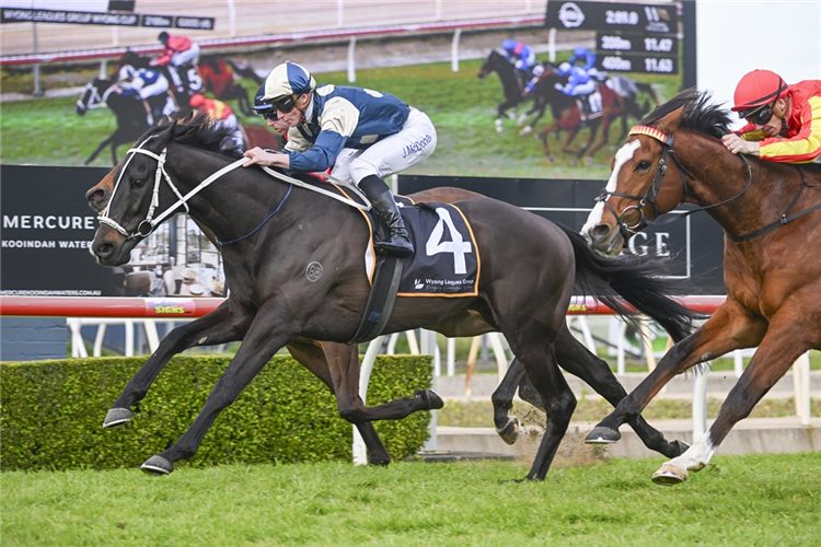 「索尔特科茨」夺冠怀昂杯