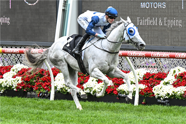 SALTY PEARL winning the Fillies Classic at Moonee Valley in Australia.