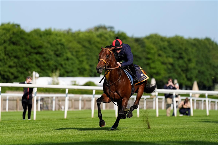 Satono Reve and Ryan Moore