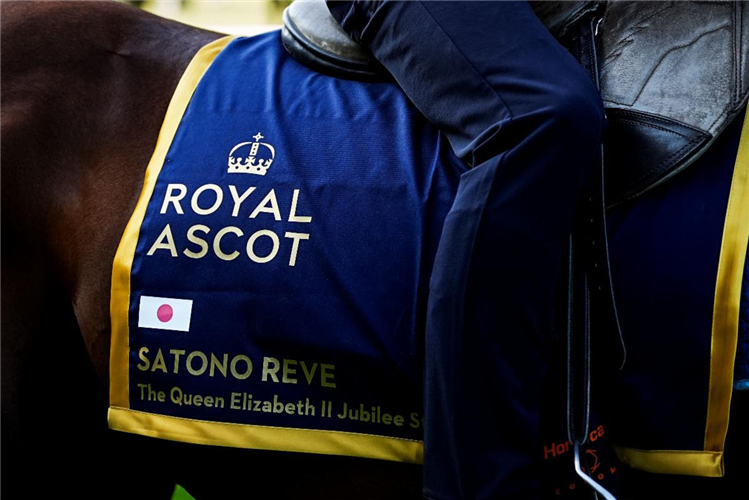 Satono Reve - Royal Ascot 2025