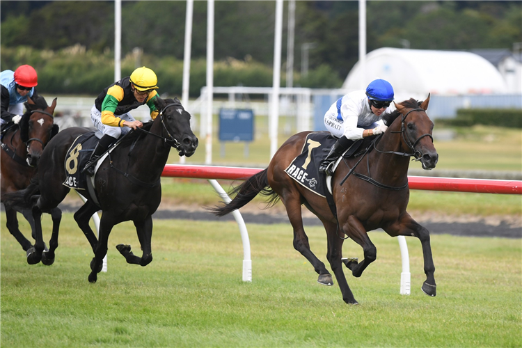 SAVAGLEE winning the TOP KAT ROOFING LEVIN CLASSIC