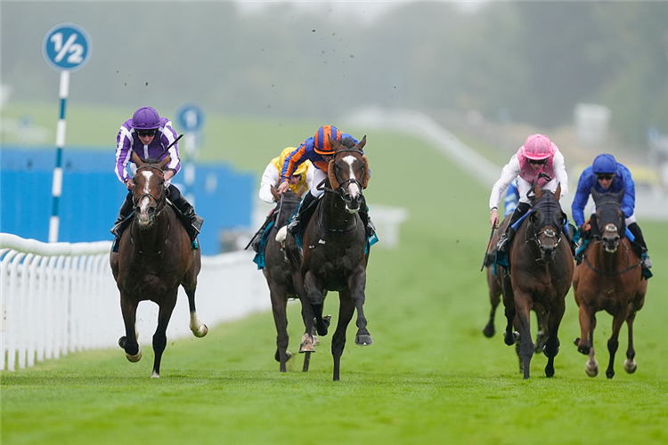SCANDINAVIA (orange/blue cap) winning the Goodwood Cup Stakes at Goodwood in Chichester, England.