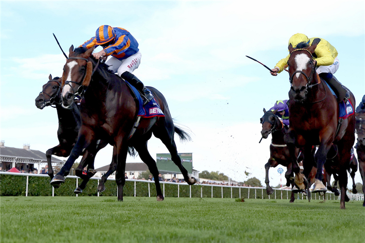 Scandinavia winning the St Leger at Doncaster.