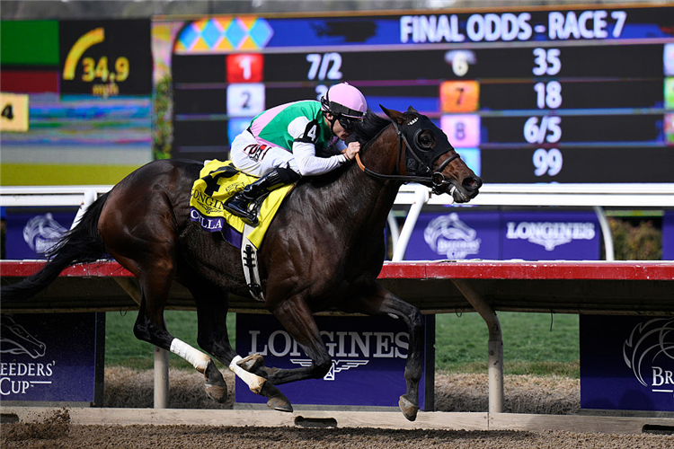 SCYLLA winning the Breeders' Cup Distaff at Del Mar in California.