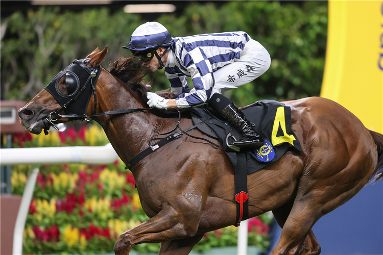 SEASONS WIT winning the CHOI WAN HANDICAP