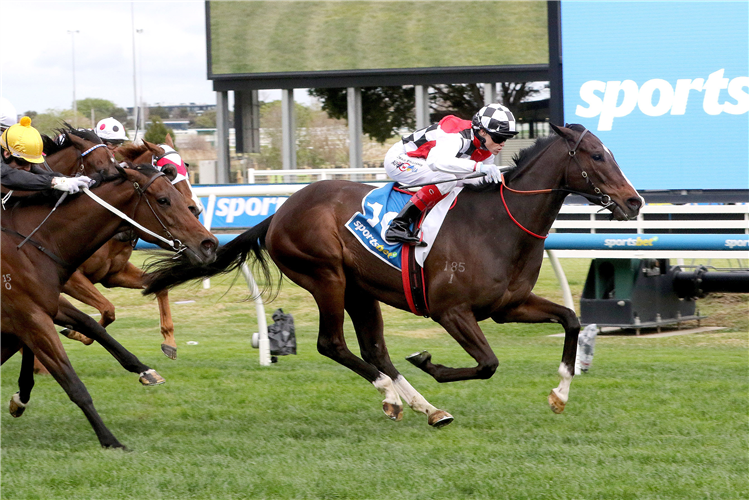 SEPALS winning the Sportsbet Sir Rupert Clarke Stakes at Caulfield in Australia.