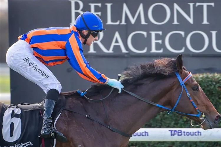 SEPTEMBER BORN winning the Wa Racehorse Owners' Association Plate At Ascot in Australia.