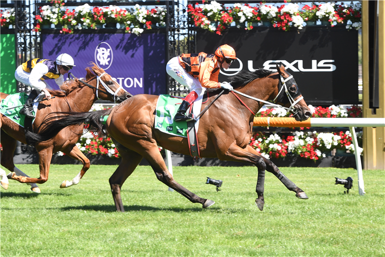 SHAIYHAR winning the Australian Cup Race Day, 29 March at Flemington in Australia.