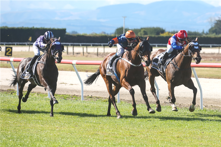 SHAKING STEVENS (center) winning the CRAIGMORE SUSTAINABLE HOLDINGS TIMARU CUP
