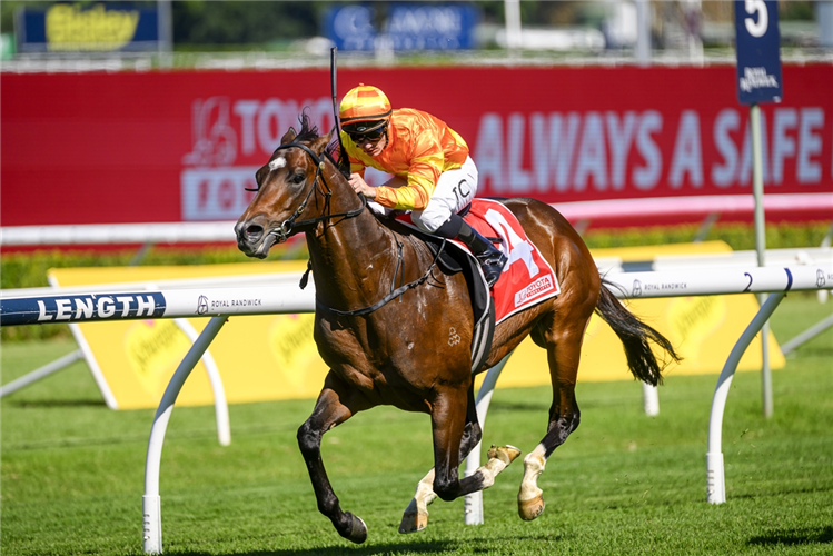 SHANGRI LA SPRING winning the TOYOTA FORKLIFTS FRANK PACKER PLATE at Randwick in Australia.