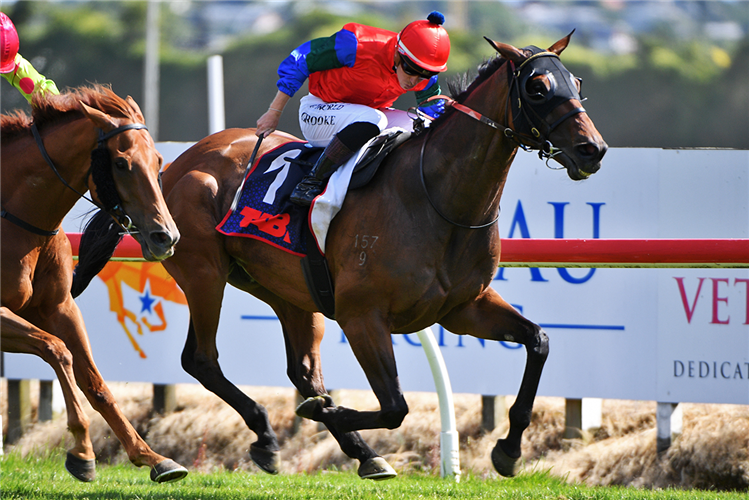SHARP 'N' SMART winning the SKYCITY HAMILTON WAIKATO CUP