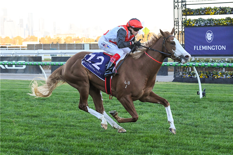She's An Artist was a big winner at Flemington.
