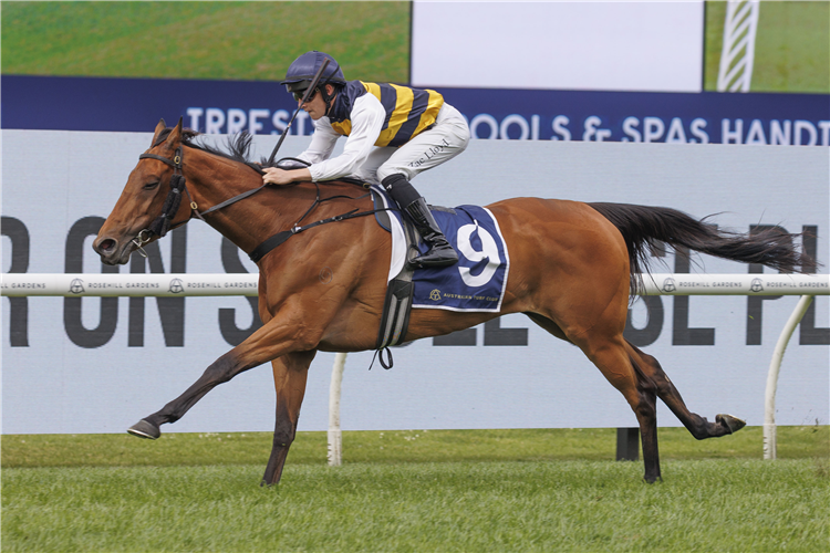 SHE'S UNUSUAL winning the IRRESISTIBLE POOLS & SPAS HANDICAP