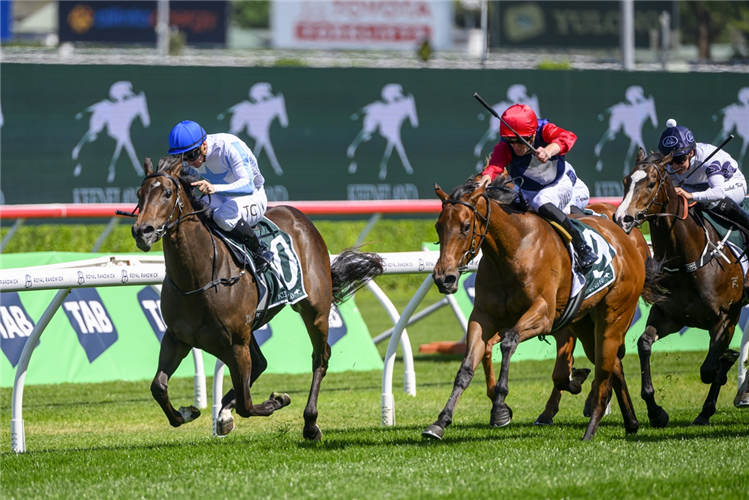 SHIKI wins the Gimcrack Stakes