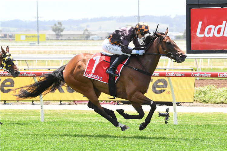 SHOCKLETZ winning the Ray White Pakenham & Officer Handicap at Pakenham in Australia.